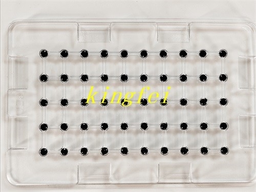 FUJI 2AGKNX006300 NXT 24 teste 0,8 ugello di aspirazione in magazzino consegna rapida